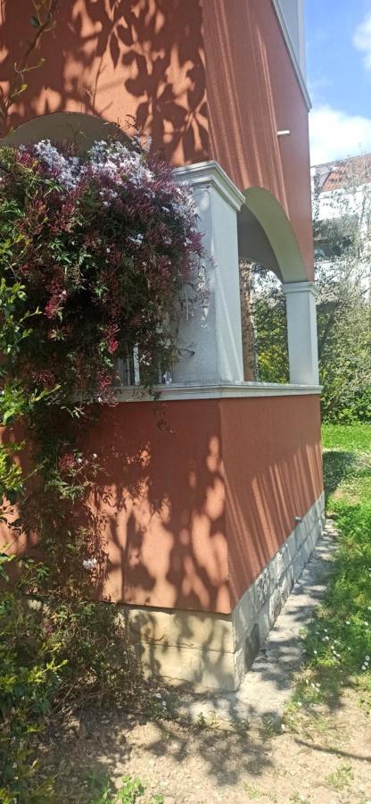 Apartments Rolovina Tivat Cameră foto